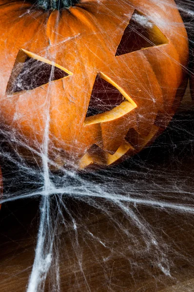 Halloween pumpkins, ortam ışığı — Stok fotoğraf