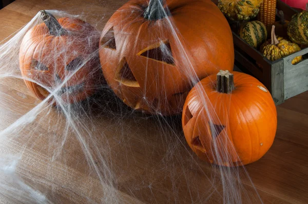 Halloween pompoenen, omgevingslicht — Stockfoto