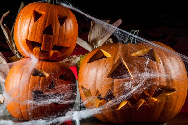 Concept d'automne saisonnier avec citrouilles — Photo