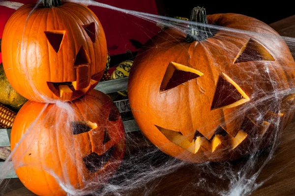 Seizoensgebonden herfst concept met pompoenen — Stockfoto