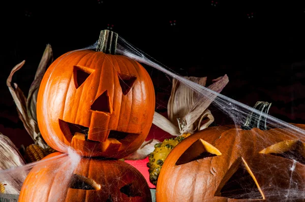 Concept d'automne saisonnier avec citrouilles — Photo