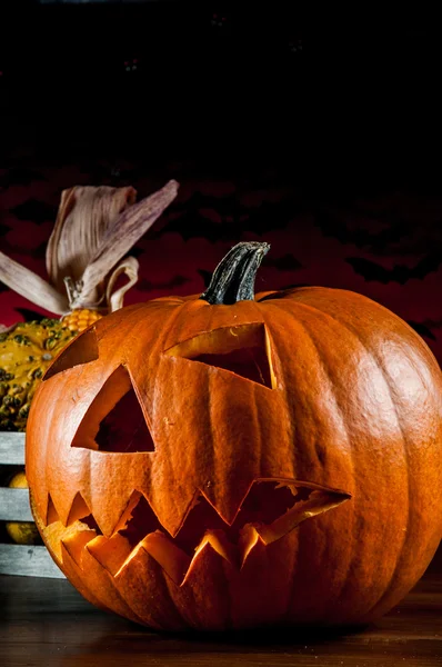 Concepto de otoño estacional con calabazas — Foto de Stock