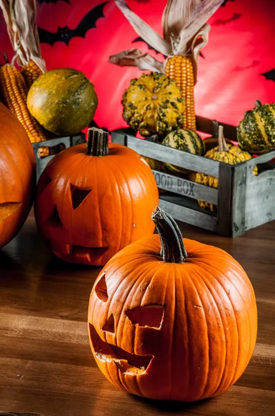 Tema colorido de Halloween — Foto de Stock