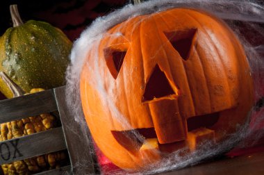 Cadılar Bayramı Balkabağı atmosferik bir ışık