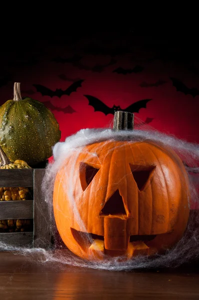 Zucca di Halloween in luce atmosferica — Foto Stock