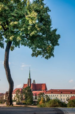 Wroclaw city eski şehir