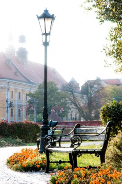 sonbahar Wroclaw city