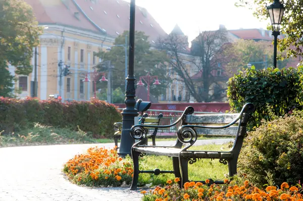 Jesień w mieście Wrocław — Zdjęcie stockowe