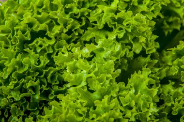 sandviç ile sağlıklı bir kahvaltı