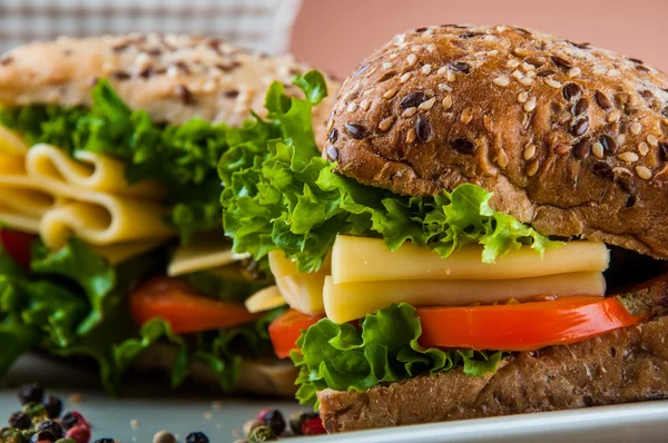 Levendige kleuren, sandwich, gezonde voeding — Stockfoto