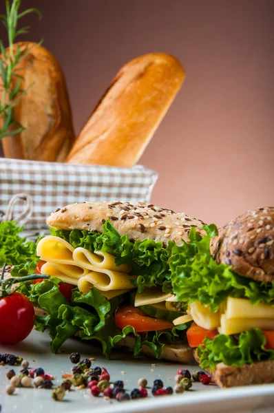 Levendige kleuren, sandwich, gezonde voeding — Stockfoto