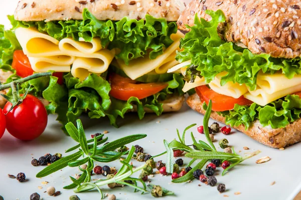 Cor vívida, sanduíche, comida saudável — Fotografia de Stock