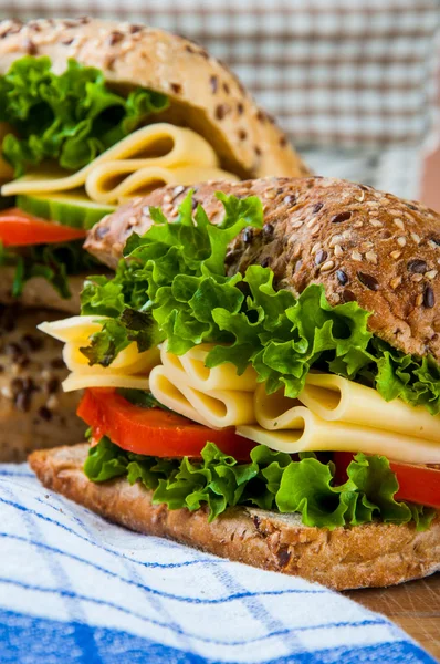 Natuurvoeding, verzadigde sandwich concept — Stockfoto