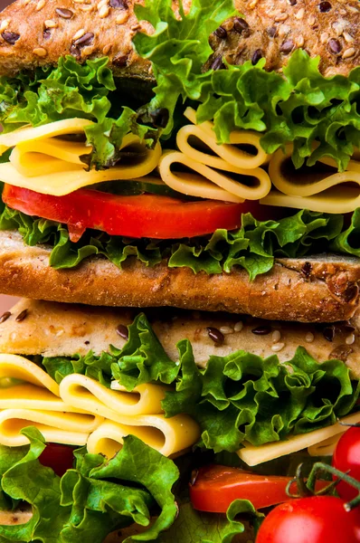 Verzadigde sandwich concept — Stockfoto