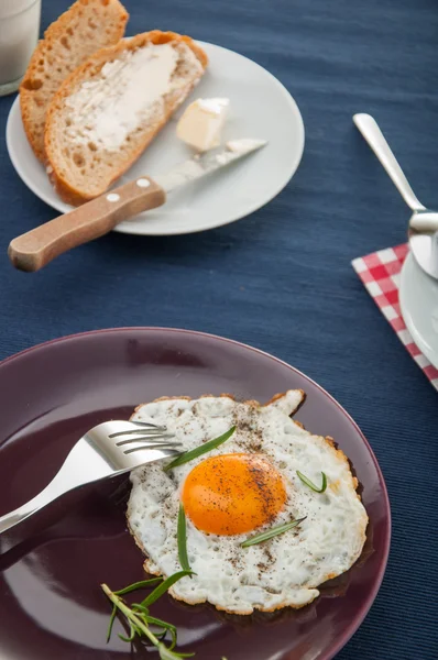 Organic country breakfast — Stock Photo, Image