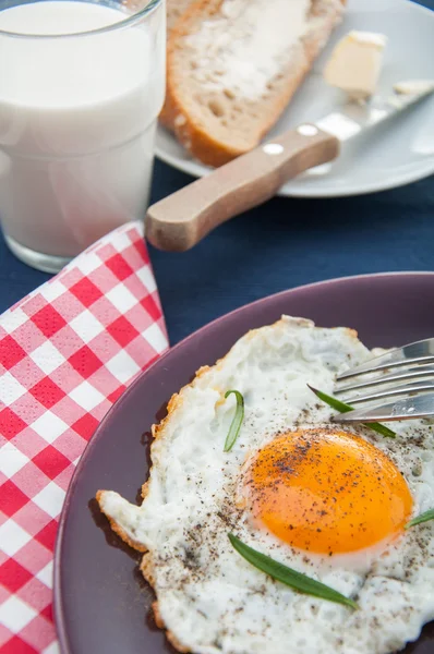 Natural breakfast, rural theme — Stock Photo, Image