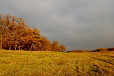 Sonbahar zaman, alanlar, kırsal manzara