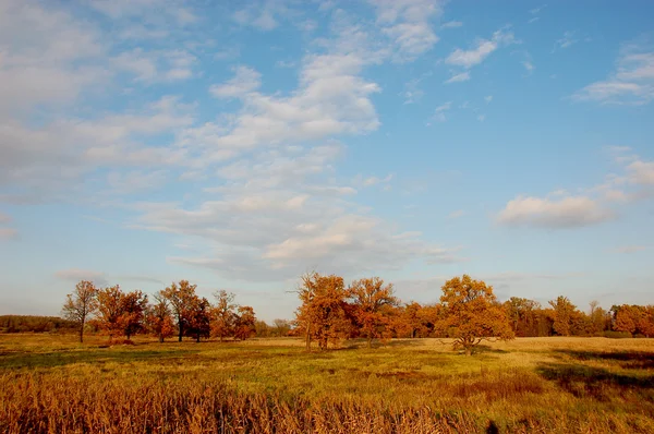 Sonbahar zaman, alanlar, kırsal manzara — Stok fotoğraf