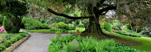 Botanic garden, Lower Silesia — Stock Photo, Image