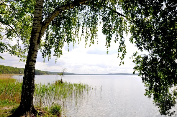Прекрасные польские озёра — стоковое фото