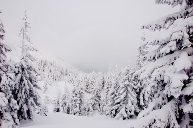 güzel dağ manzarası, Orta Avrupa