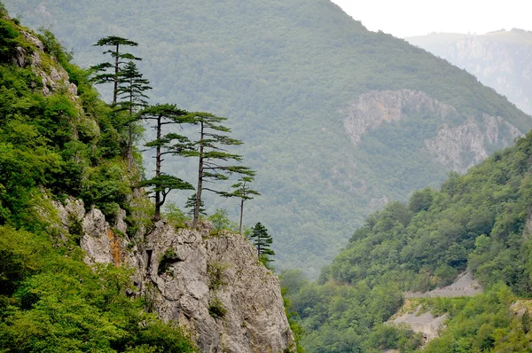 Beautiful European mountains — Stock Photo, Image