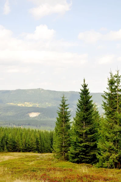 Evropská horská krajina — Stock fotografie