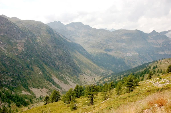 Belles chaînes de montagnes alpines, Europe centrale — Photo