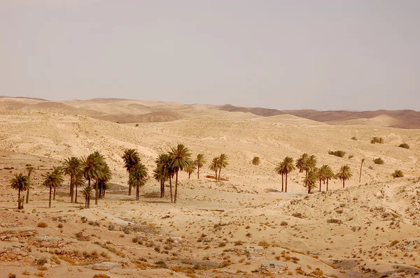 Summertime Sahara desert in Tunisia — Stock Photo, Image