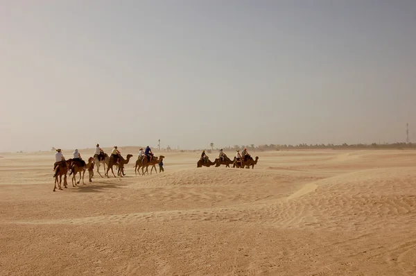 Summertime Sahara desert in Tunisia — Stock Photo, Image