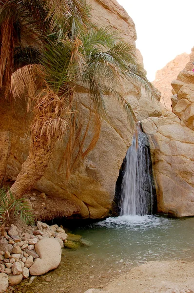 Hermoso oasis de montaña en Túnez — Foto de Stock