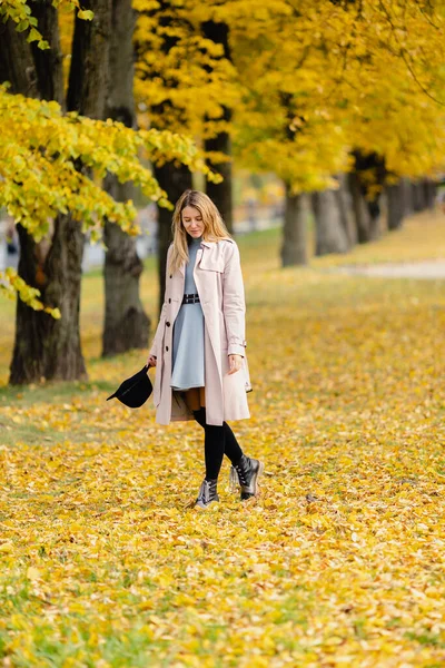 Attraente Donna Elegante Cappello Mano Cappotto Passeggiate Nel Parco Autunnale — Foto Stock