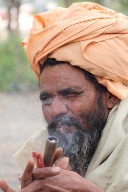 shilum, Hindistan, ot, sharas