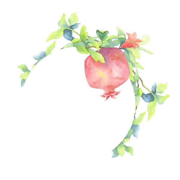 Semicircular Frame Pomegranate Red Flower Vegetable Drawing Exotic Fruit Watercolor — Stock Photo, Image