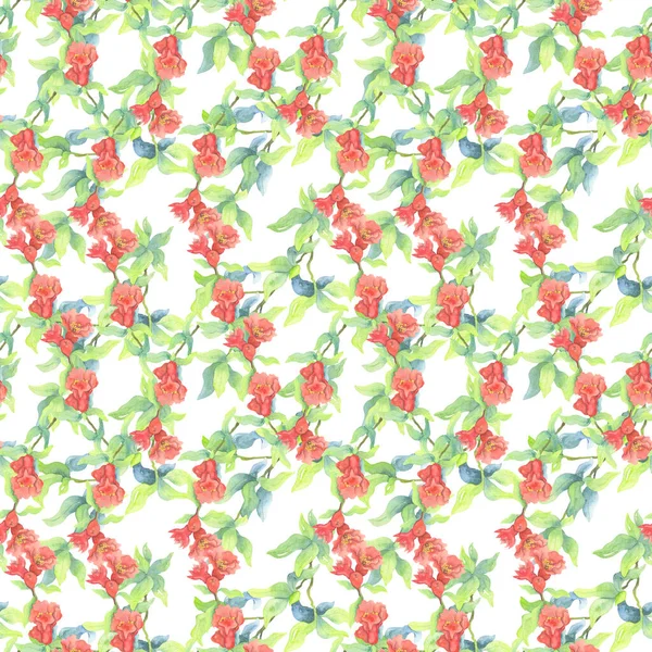 Vörös Gránátalma Virágok Zöld Levelekkel Akvarell Virágdísz Zökkenőmentes Minta Fehér — Stock Fotó