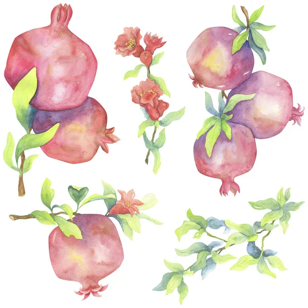 Set Acquerello Melograni Frutti Soleggiati Fiori Rossi Foglie Verdi Illustrazione — Foto Stock