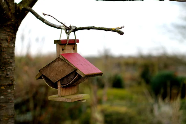 Birg casa — Foto Stock