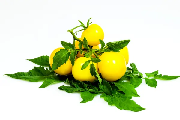 Yellow tomato — Stock Photo, Image