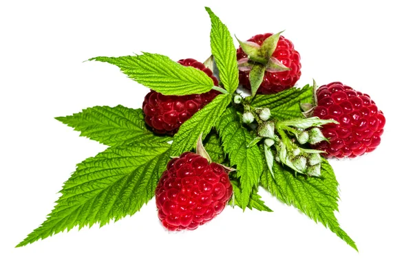 Raspberies