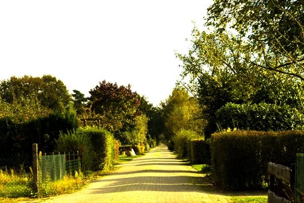 Gartenweg — Stockfoto