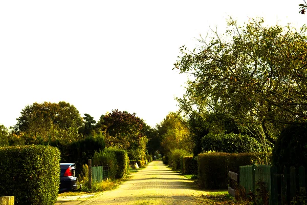 Gartenweg — Stockfoto