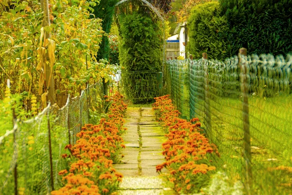 Sentiero del giardino — Foto Stock