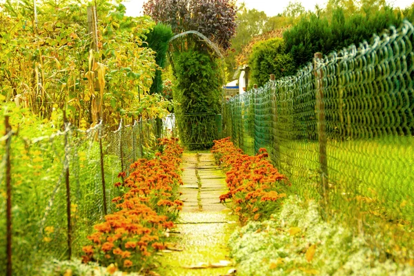 Camino de jardín — Foto de Stock