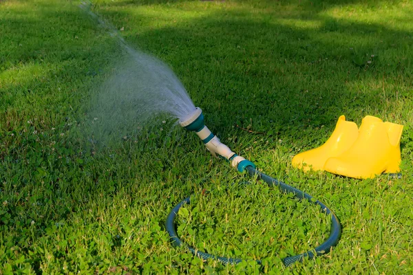 Watering — Stock Photo, Image