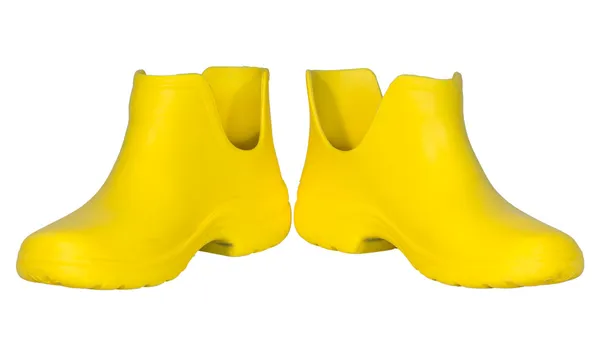 Rubber boots — Stock Photo, Image