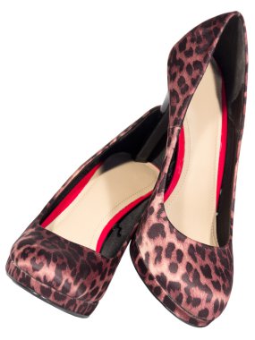 Bayan ayakkabıları