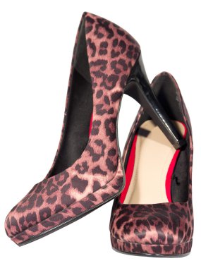 Bayan ayakkabıları