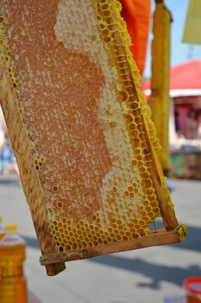 Honey in honeycombs. — Stock Photo, Image