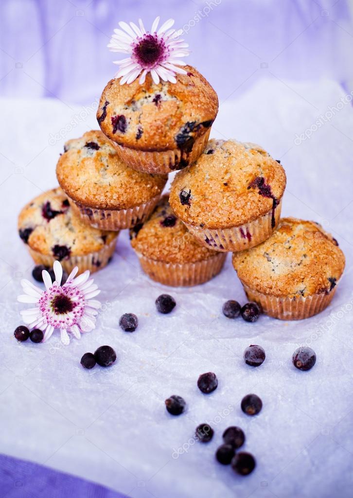 Blackcurrant muffins