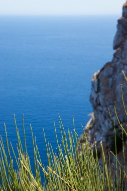 mavi deniz, gökyüzü ve rock bir arka plan üzerinde çim